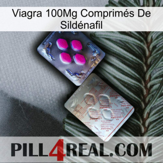 Viagra 100Mg Comprimés De Sildénafil 38